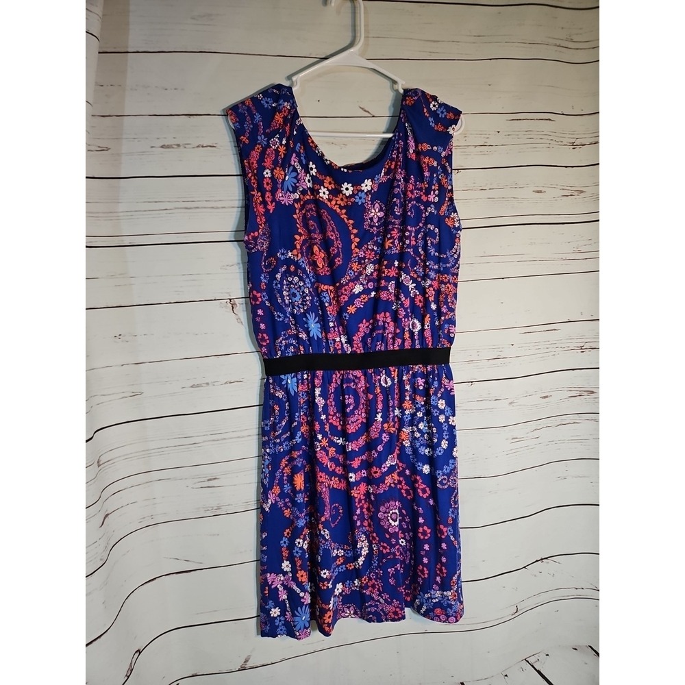 Lilly Pulitzer Blue Floral Paisley‎ Sleeveless Elastic Waist Dress Large